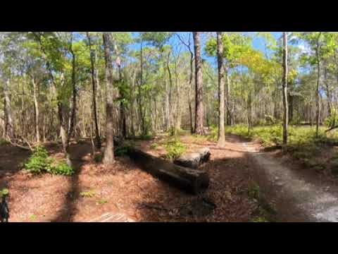 Mountain Bike - Insta360 VR Video