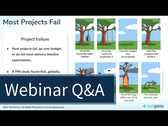 TechGenies product / service