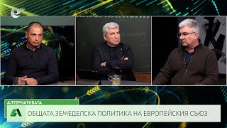 АЛТЕРНАТИВАТА С ИЛИЯН ВАСИЛЕВ | 09.02.2024