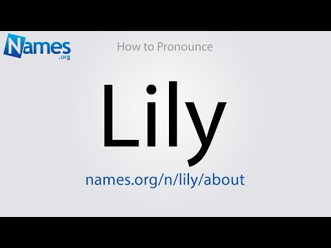 How to Pronounce Lily