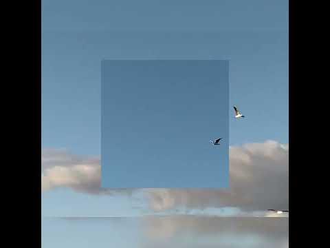 una salida de la riviera Rocha día muy frío y ventoso hoy