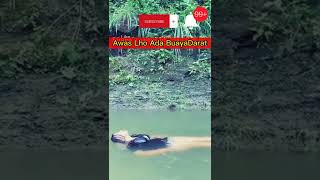 Download lagu Buaya Betina#mandi #sungai @adultfunnyshorts @JITIVOZ @WOKOCHANNEL@DreamART18 @mbakmonik@flowernight mp3
