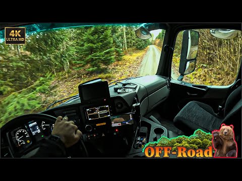 Extreme OFF-Road Truck Driving | POV Mercedes Truck | Trucking Job Europe | 4K ASMR