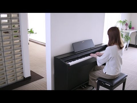 Zuhal Youtube Videos