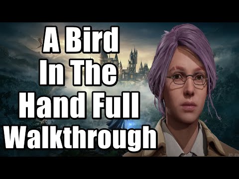 Hogwarts Legacy A Bird In The Hand Side Quest Full Walkthrough