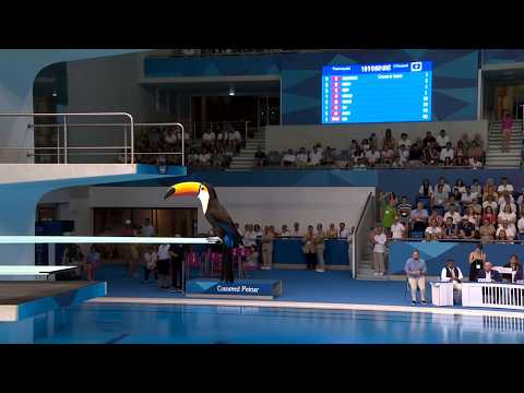 Which Bird Wins Gold | Animal Olympics