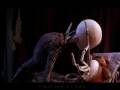 NIGHTMARE BEFORE CHRISTMAS CREEP