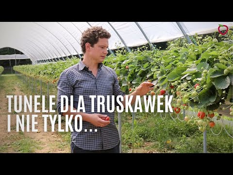 Tunele dla truskawek i nie tylko. Nowe propozycje!