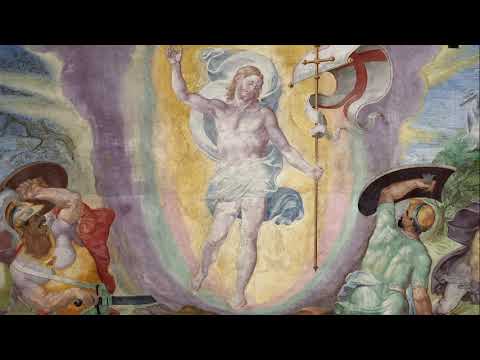 Ascension - Salutis Humanae Sator (315)