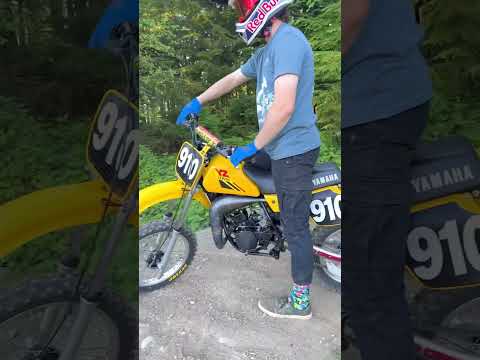 1984 YZ80 Walk Around