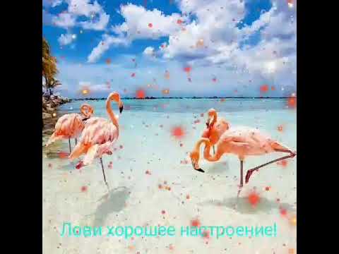 Лови хорошее настроение!