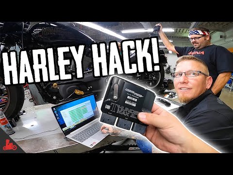 Harley THUNDERMAX Install! 131ci Stage 4 🔥