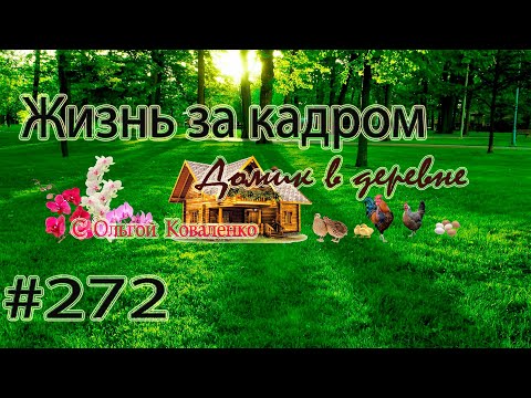 #272 Жизнь за кадром!