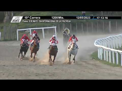 SINT FLORIDA 230512 c10 1° BRAVZOR