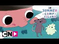 Zomer Kamp Eiland | Schattige monsterbaby's | Cartoon Network
