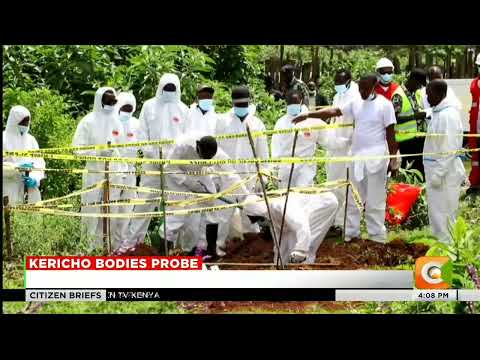 Exhumation of bodies buried in a mass grave begins