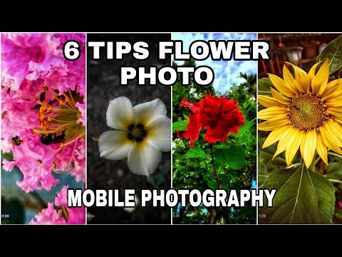 6 TIPS FLOWER PHOTO||MOBILE PHOTOGRAPHY