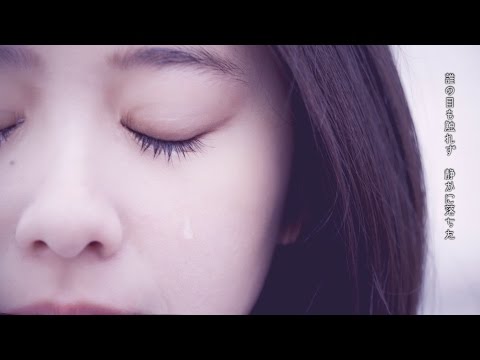 LAMP IN TERREN「涙星群の夜」Music Video