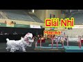 LTH Giải Nhì Lân Sư Rồng Macao Kun Seng Keng Singapor