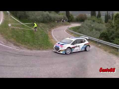 33 ° Rally 2 Valli 2015 - Crash Hoelbling-Grassi e mix passaggi