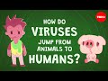 Did Humans Jump Before We Invented Language?