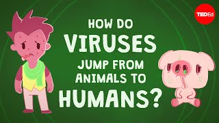 TED-Ed - How Do Viruses Jump From Animals To Humans?