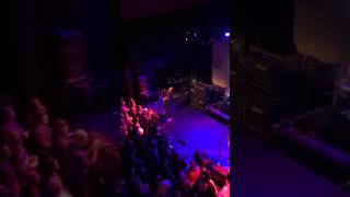 BUFFALO TOM PADDY&#39;S DAY W&#39;MSBURG Treehouse