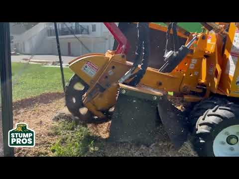 Stump Grinding in Prairie Village, KS