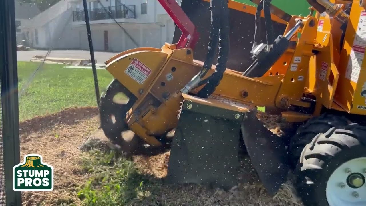Stump Removal Start to Finish - Kansas City Stump Grinding