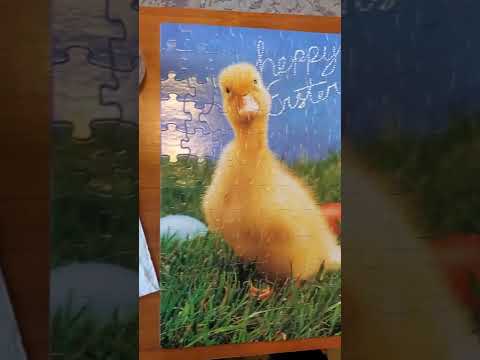 Prankster alterou um quebra-cabeça de brechó e depois o devolveu Prankster alterou um quebra-cabeça de brechó e depois o devolveu