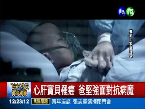 女童罹2癌 爸爸剃髮齊抗病魔