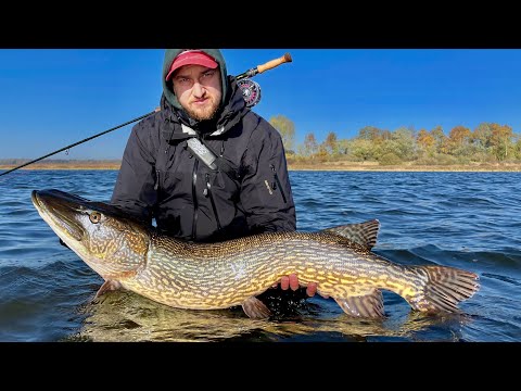 Fly fishing for saltwater pikes in Germany