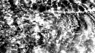 coil - the sea priestess (samsarasnu vison)