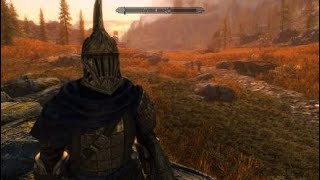 Skyrim mod player voice: Cicero