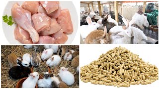 RABBIT FARMING , CHEAP & BEST RABBIT FEED PRICE , RABBIT MEAT PRICE, BIGGEST RABBIT FARM WEST BENGAL