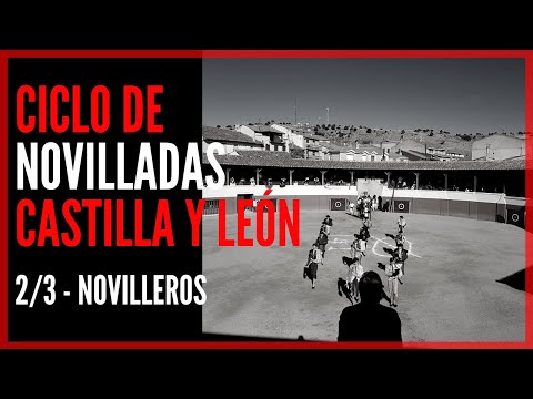Especial Ciclo de Novilladas 🧱 Castilla y León 🦁 – LOS NOVILLEROS