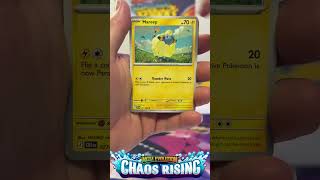 CHAOS RISING IS HERE | Pack A Day 66 | #pokemon #pokemontcg #pokemoncards