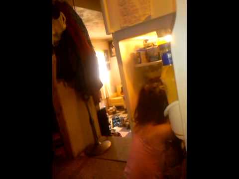 This is what my cat does when I open the fridge