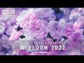 Markus Schulz In Bloom 2022 Vocal Trance Mix