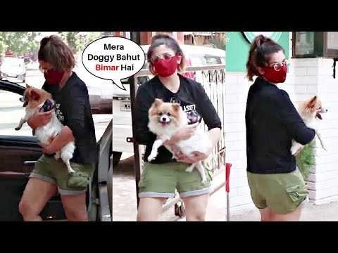 Raveena Tandon Emotional Takes Her Sick Pet Dog To Hospital