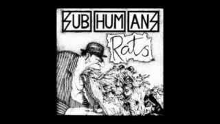 Sub Humans , Rats =;-)