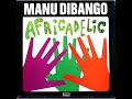 Manu Dibango - The Panther (drumbreak)