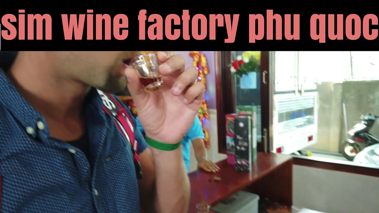 An engaging walking tour exploring the winemaking process and tasting authentic Sim wine at Sim Wine Factory.