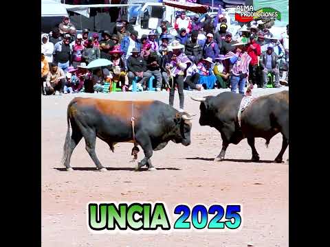 IX Toro Tinku Norte Potosino UNCIA 2025 T10, "Juku-Tiburón". #shortsviral  #almaproduccionesbolivia