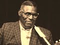 Howlin' Wolf-What A Woman!