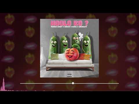 Pouriya Adroit x Siohash x Kusha - Hoolo Ko? (Official Visualizer)