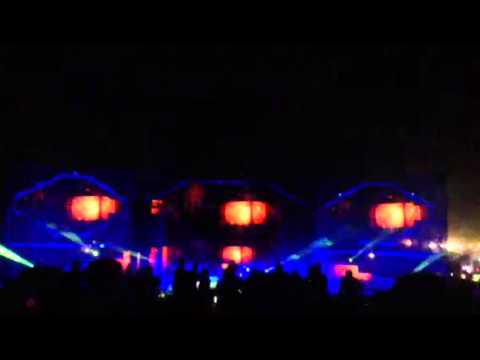 Manufactured Superstars Escape from Wonderland