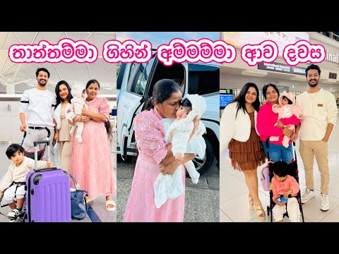 දුකත් සතුටත් එක්ක අපිට ජපානයේ PR ලැබුණු සතිය | ගොඩක් අඩලා ගොඩක් හිනා වුණු සතියක් 🇯🇵❤️‍🩹 