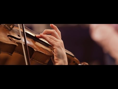 Ghid pentru schimbat corzile viorii