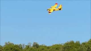 preview picture of video 'Incendio 12 agosto 2013 zona Visintini Palchisce (Vallone) - GO - Canadair e elicottero'